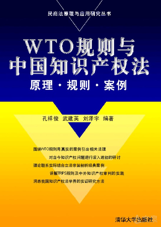 《wto规则与中国知识产权法—原理·规则·案例 孔祥俊,武建英