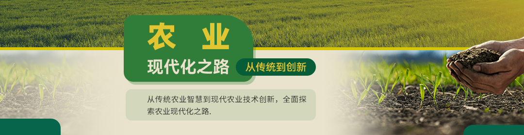 农业现代化之路