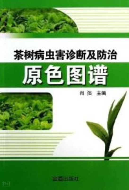 共找到502901个结果