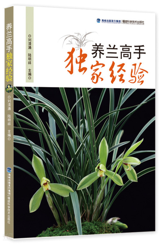 共找到256020个结果