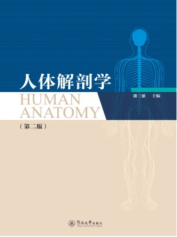 人体解剖学》 李洪文、袁舒9787302586203 【清华大学出版社官方正版 